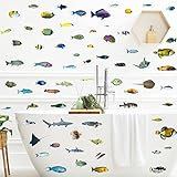 MEFOSS 3D Beautiful Tropical Underwater Fish Wall Decals DIY Shark Sea Turtle Stingray Grouper Fish Wall Stickers Peel and Stick Colorful Kids Bedroom Baby Nursery Bathroom Wall Decor