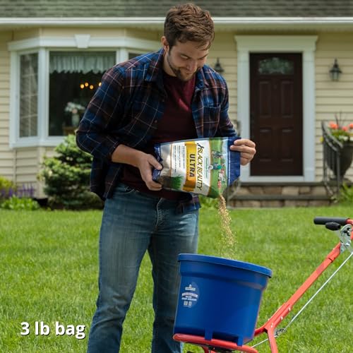 Image of Jonathan Green 10321 Black Beauty Ultra Grass Seed Mix, 3 Pounds