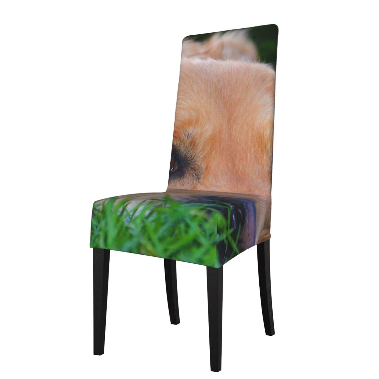 Housse de siège souple Golden Retriever BONDIJ pour chaise de repas