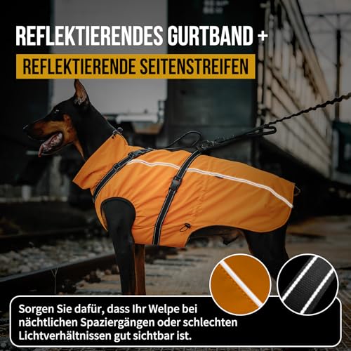 OneTigris Hundejacke, Wasserdichter Winterweste Jacken Hundemantel Mit Bediengriff, Bequeme Ausscheidung, Reißverschluss und Elastisches Design, Einfaches An-und Ausziehen, Reflektierend,M,Orange