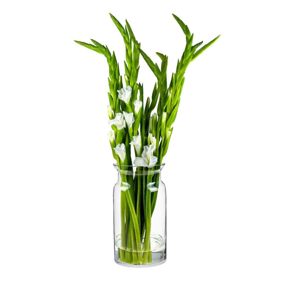 TREND FOR HOME Jarrones Decorativos de Suelo A: 29.5 cm Cilindro Transparente para Decoracion de Fiestas Mesas Jarrones Decorativos Modernos Florero de Vidrio Jarrón Grande | Ø 16 cm | Sunflower