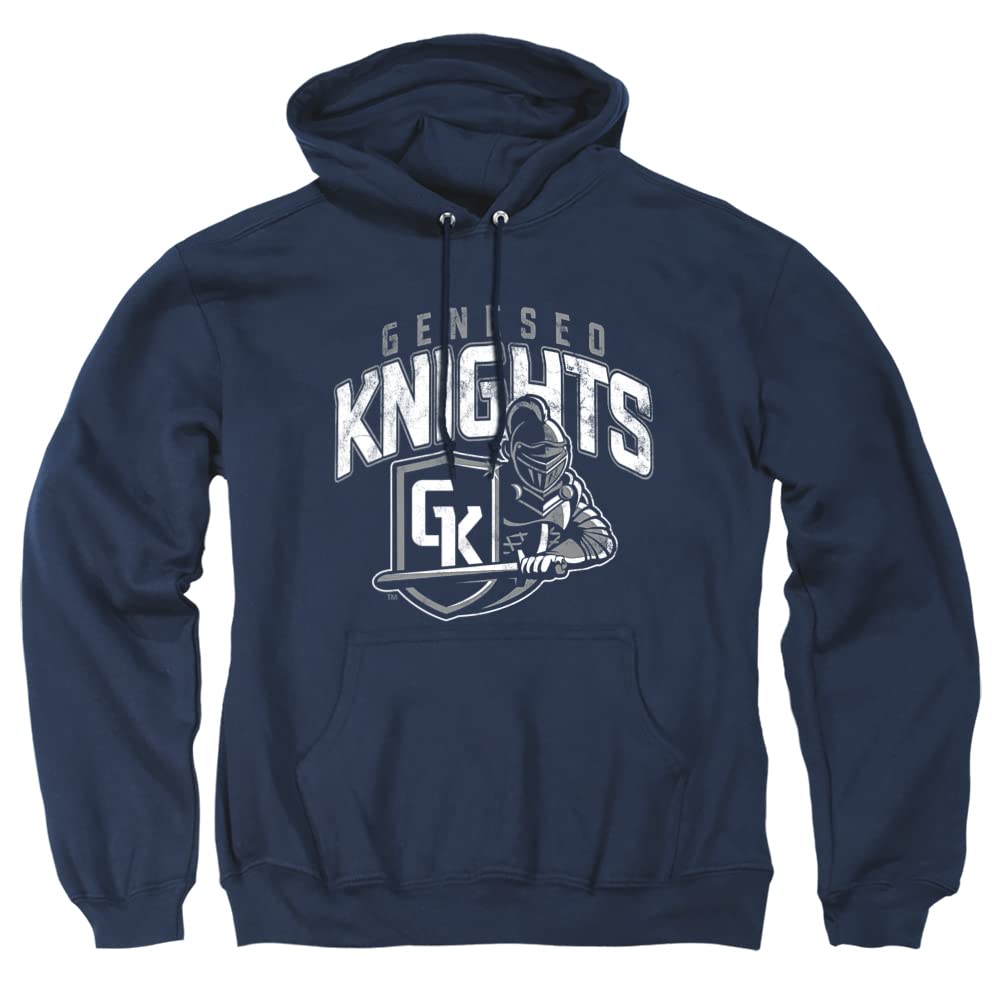 LOGOVISION Official Collegiate Distressed Primary Logo Adult Pullover Hoodie Collection — view 479