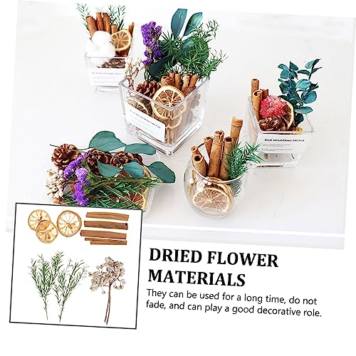 Kit de Flores Secas para Manualidades y Decoración miniatura 4