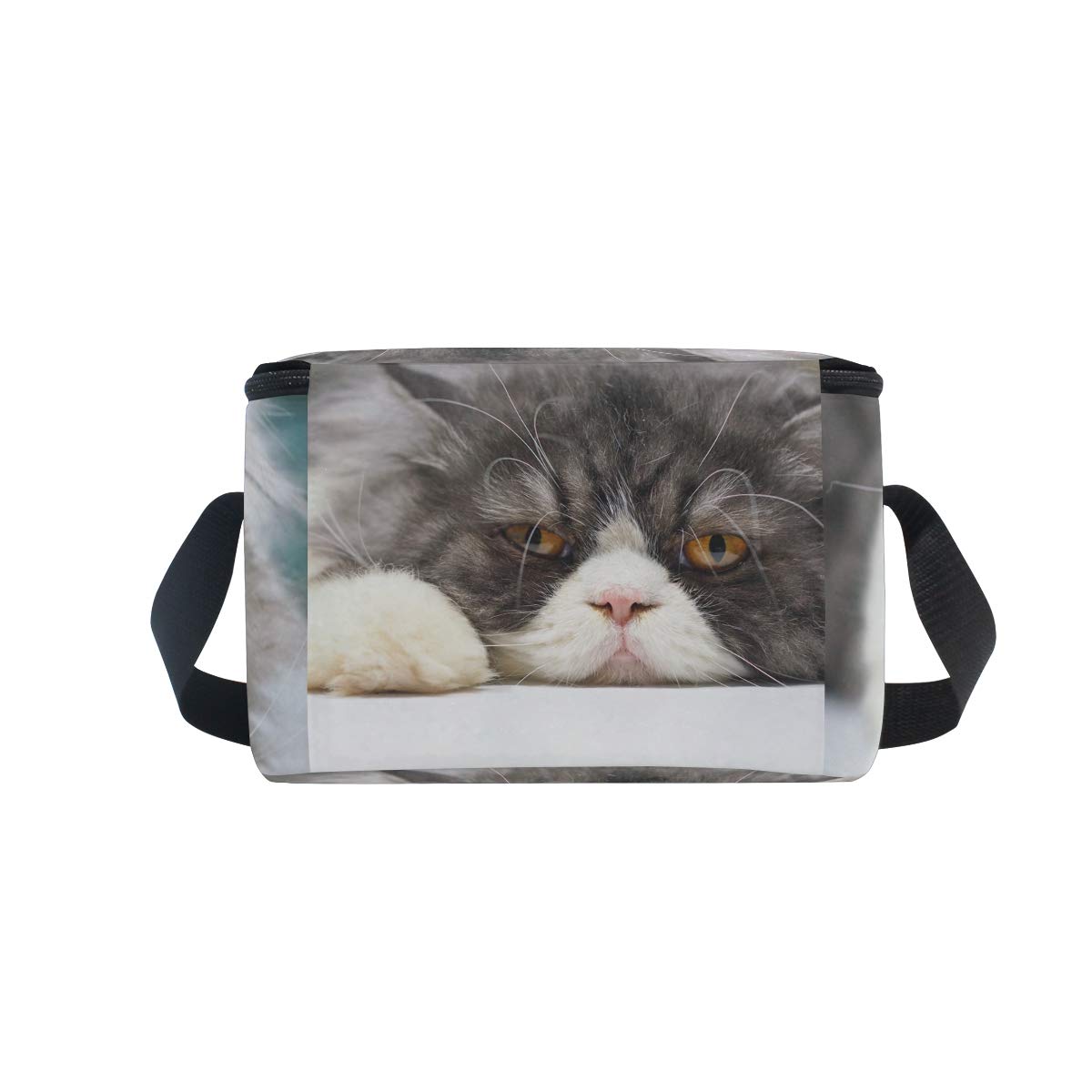 MyDaily - Portapranzo a forma di gatto, riutilizzabile, isolante, per la scuola, per donne e bambini