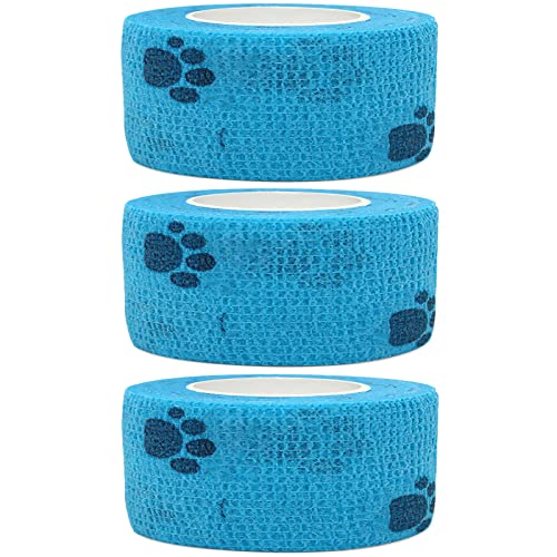 e[sOe[v Lk   e[sOe[v wp e͕ tbNX e[sO S 3 (u[)