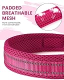 PETTOM Hundehalsband Verstellbare Nylon Hunde Halsband Atmungsaktives Reflektierend Halsband (Rose M)