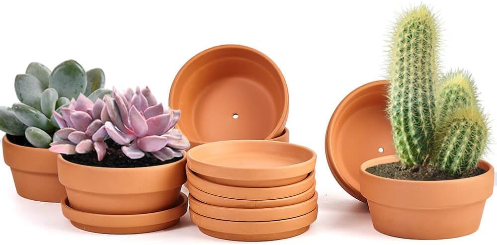 5 Inch Shallow Terracotta Pot for Succulent - 6 Pcs Small Shallow Plant Pots with Drainage Hole and Saucer Mesh Pad, Clay Plant Pottery Pots for Cactus Succulent and Other Indoor Outdoor Plants