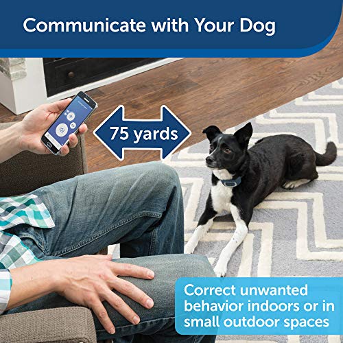 PetSafe SMART DOG Training Collar – Uses Smartphone as Handheld Remote Control – Tone, Vibration, 1-15 Levels of Static… - Image 2