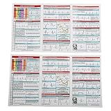 Auratrove Rhythmus-Interpretationstaschenkarten, doppelseitig, dreifach gefaltete Anleitung für ACLS-Analyse und 12-adriges EKG, Vollfarbreferenz für Profis