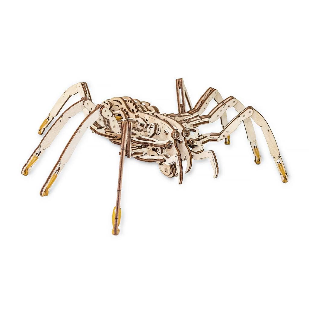 Amazon.com: EWA Eco-Wood-Art Spider 3D Wooden Puzzle, Mechanical