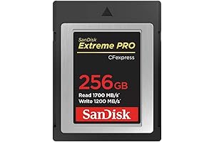 SanDisk 256GB Extreme PRO CFexpress Type-B Memory Card: Blazing Speeds, Unparalleled Performance