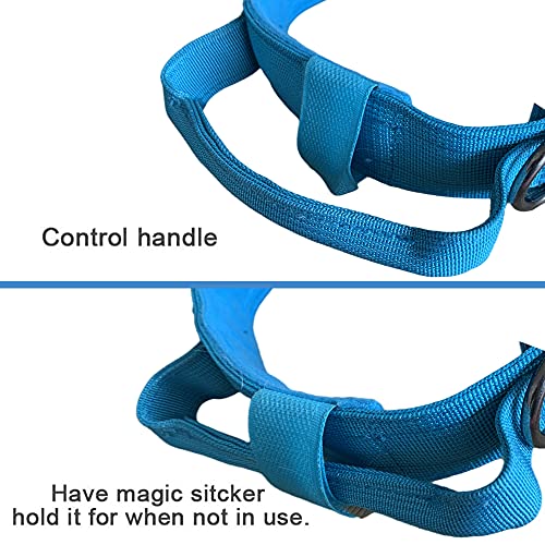 Image of Tactical Military Dog Collar - Adjustable Nylon, Heavy Duty Metal Buckle With Handle for Training (Blue, S)