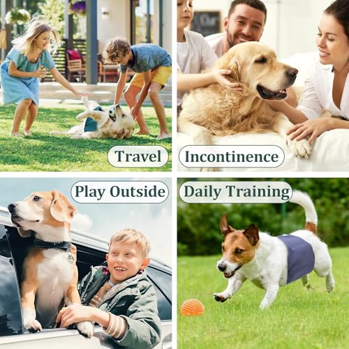 Image of Reusable Dog Diapers Male, Premium Washable Belly Bands for Dogs Small, Pack of 5, High Absorbing Dog Wraps for Doggie & Puppy in Incontinence or Excitable Urination and Training(S)
