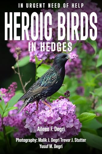 Immagine prodotto: Heroic Birds in Hedges (English Edition)