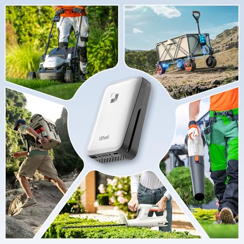 Image of LiTHELi Battery Pack 20V 2.0Ah, Replacement Lithium Batteries U20 Power Tools and Outdoor Power Equipment