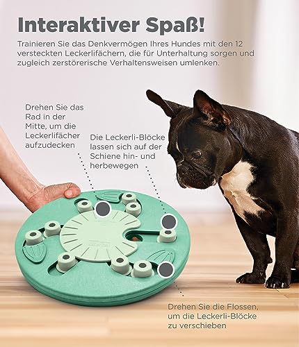 Outward Hound by Nina Ottosson Dog Worker Treat Puzzle Enrichment Toy, Level 3 Advanced, Green, Dog Worker (Green)