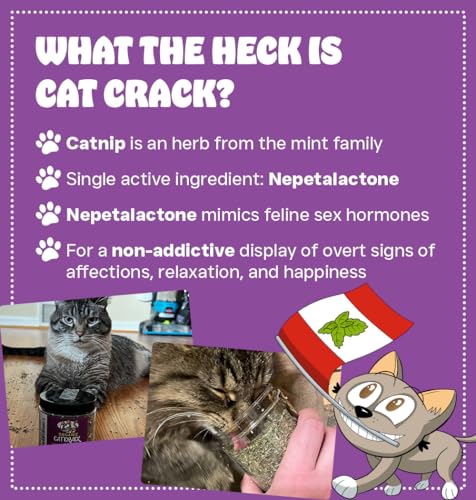 image for Cat Crack Catnip, Zoomie-Inducing Cat Nip Blend, North American Made &