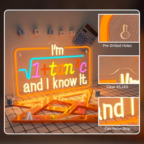 Image of Math Formula LED Neon Sign Colorful Light Up for Classroom Wall Decoration
