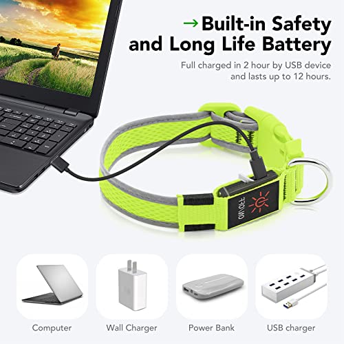 Illumifun Reflective Led Dog Collar, Adjustable Glowing Pet Safety Collar, Usb Rechargeable Light Up Collar For Your Large Dogs (Large, Green) #TOP4