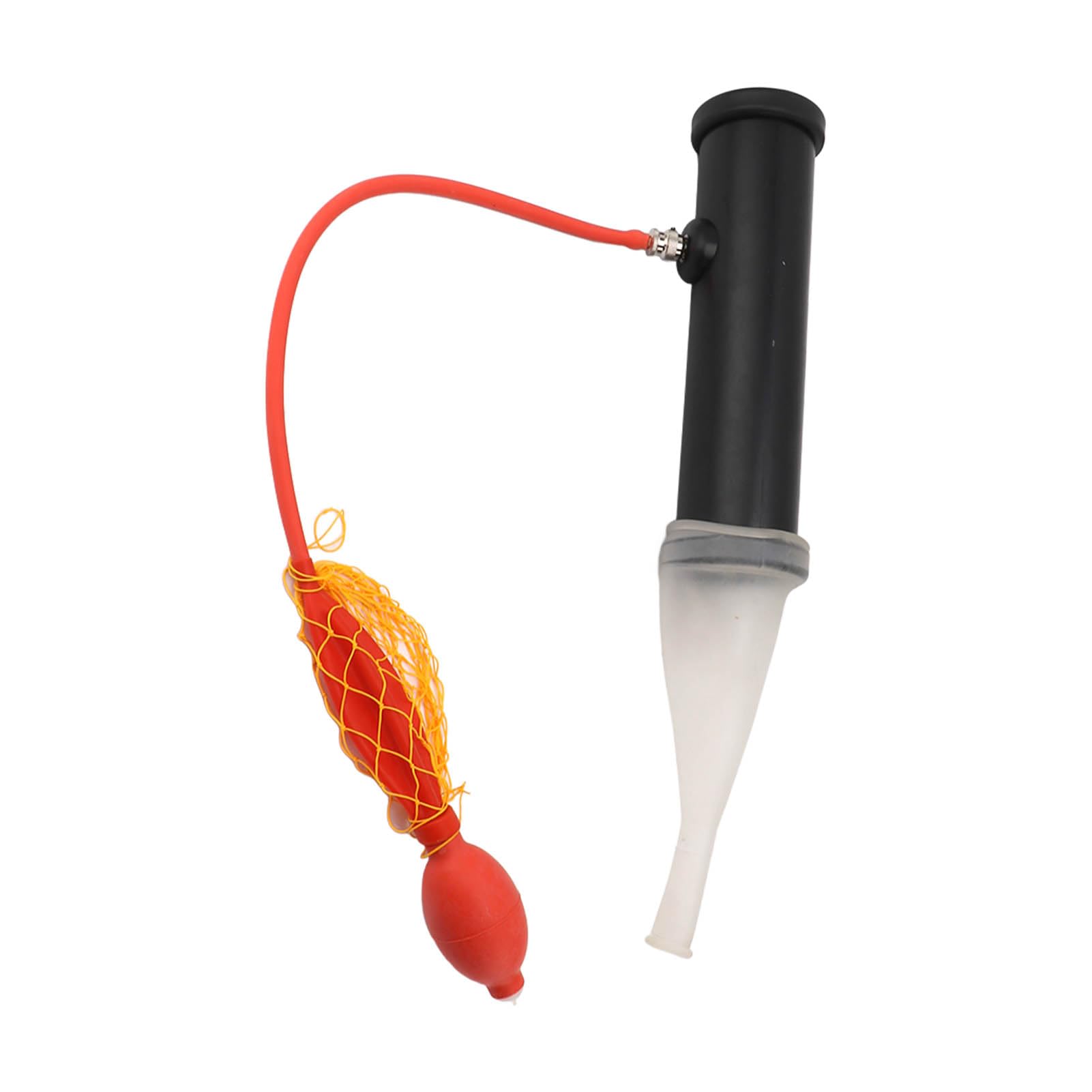 増量中★天然栃木産★水牛10ペア～★他採取個体追加あり