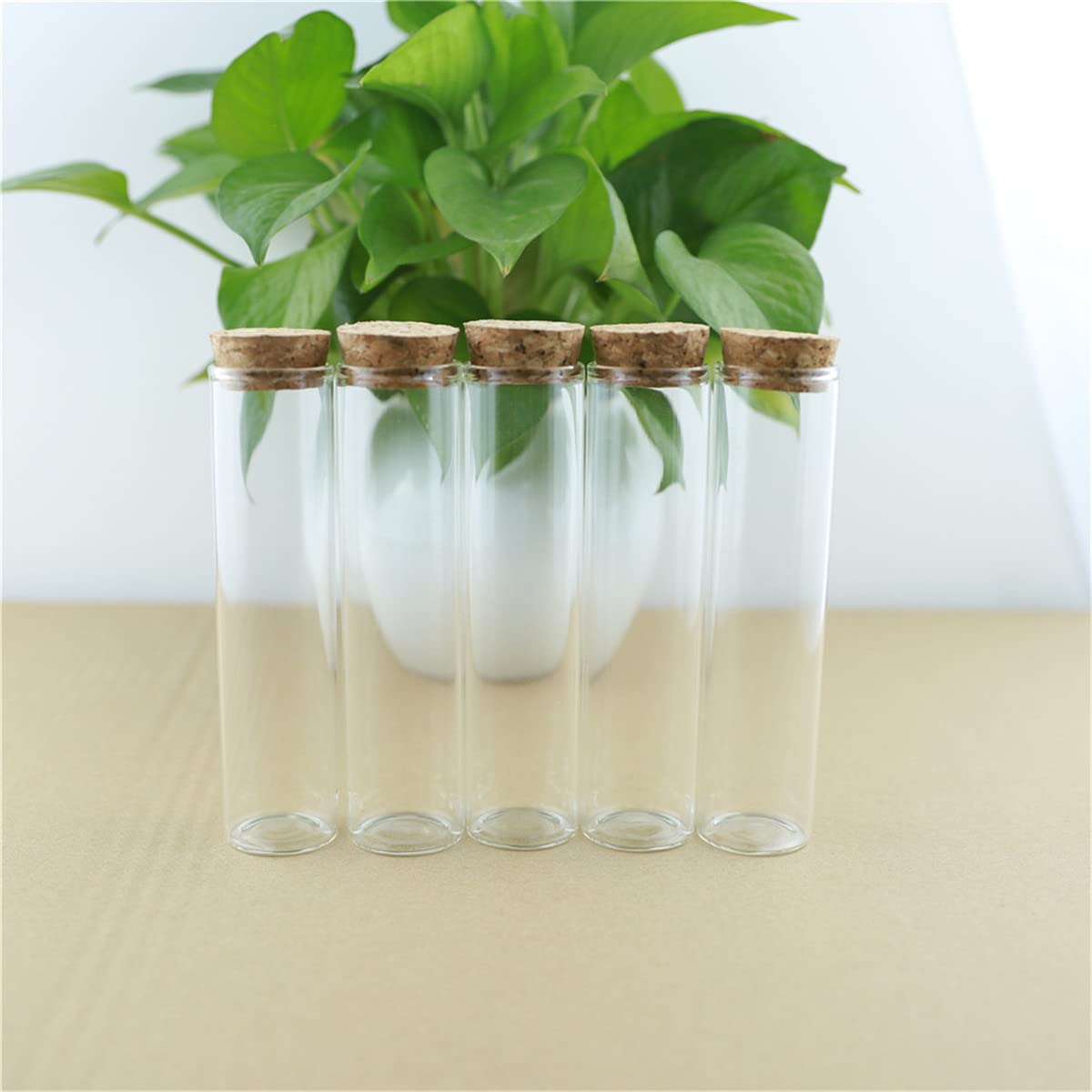 Szklane probówki z pokrywkami, Opakowanie 24 butelek szklanych 30 x 120 mm, 60 ml, z korkiem