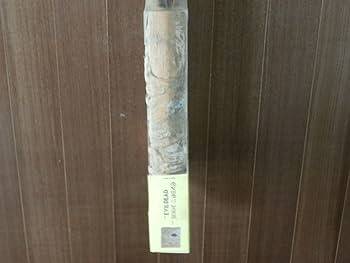 Amazon.co.jp: 輸入盤DVD 死霊のはらわた The Evil Dead (Book