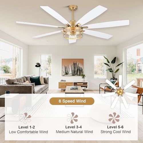 Image of 72 inch White and Gold Ceiling Fan with Lights Fandelier Ceiling Fan | Modern Caged Chandelier, Farmhouse Fandeliers with Lights and Remote for Living Room Indoor, Reversible DC Motor 6 Speeds