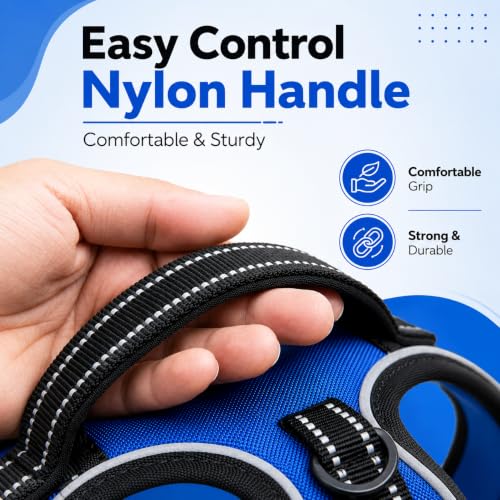 Image of Dog Harness for Medium Dogs | No Pull, Adjustable, Reflective, Harness Leash Combo for 14-23Kg Pets (Blue, Medium)