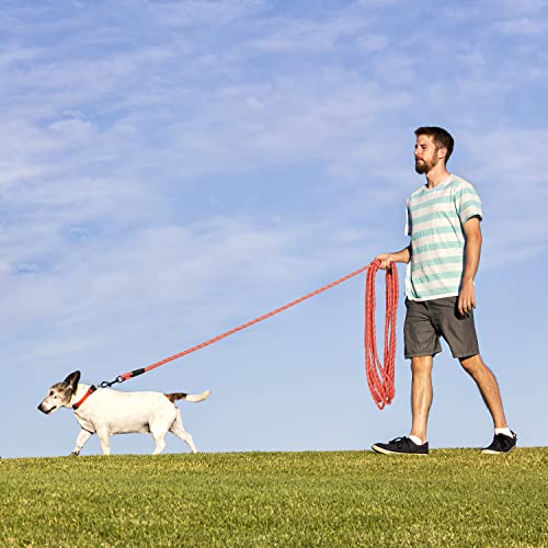 Image of Long Dog Leash for Training 30Ft-Reflective Nylon Rope with Swivel Hook-Recall Agility Lead for Large Small Medium Dogs Outside Walking Hiking-Orange Diam 1 /2 inch