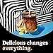 So Delicious Dairy Free Coconut Milk Creamer, French Vanilla, Vegan, Organic, Non-GMO, Creamy Plant Based Coffee Creamer, 32 FL OZ Carton