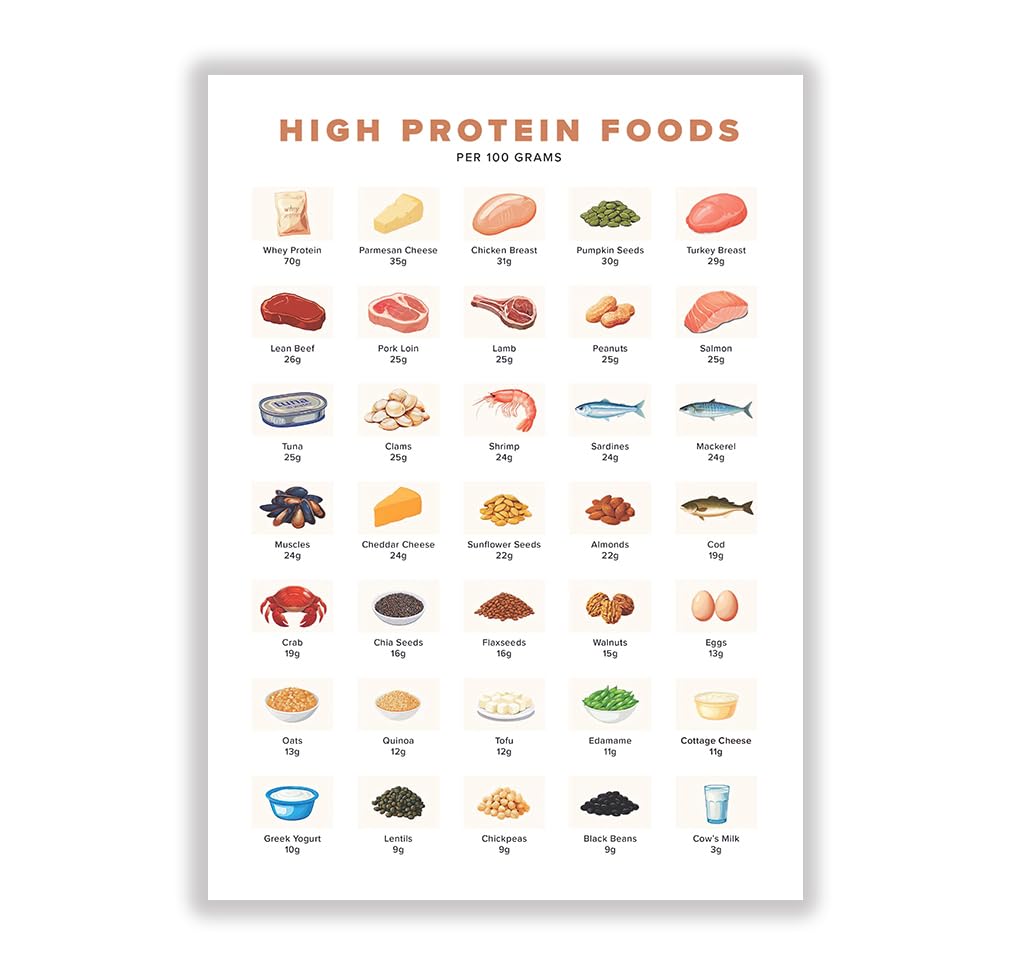 High Protein Food Chart Protein Rich Foods List Nutrition Guide, Printable Grocery, Protein Source, Meal Planner, Low Carb, Keto Tracker（