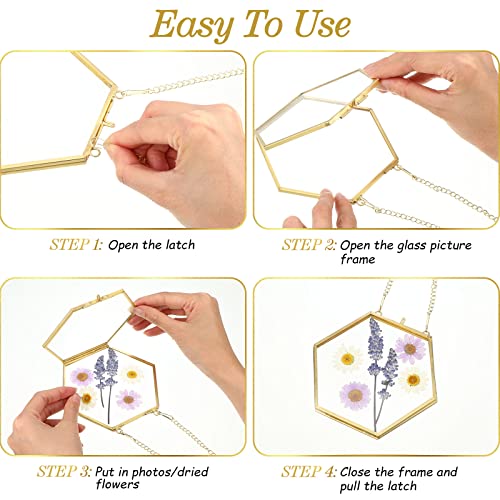 6 Packs Glass Frame For Pressed Flowers Golden Hanging Glass Picture Frames Floating Brass Double Glass Frame With Chain For Dried Plant Specimen Wall Decor Display Gallery Photo Collage Diy, 3 Sizes #TOP2