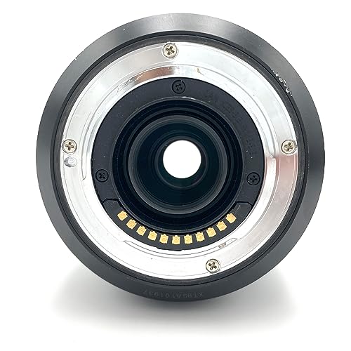 Panasonic Lumix G Vario 100-300mm F4.0-5.6 II Super