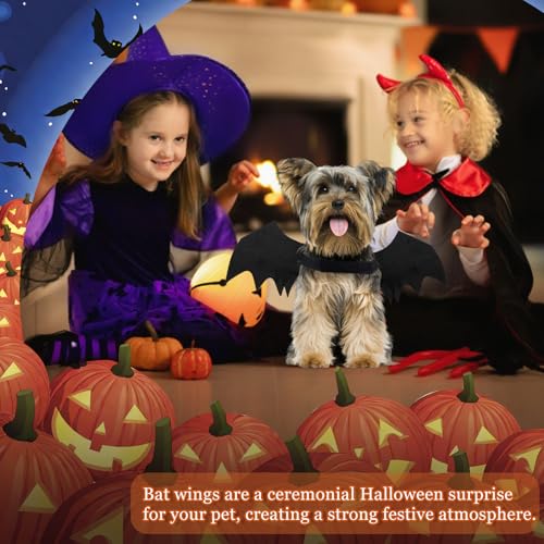 Binlava Halloween Kostüm Hund Fledermaus Flügel, Hundekostüm mit Kürbisglocke, Einstellbar Haustier Fledermaus Kostüm, Niedlich Haustier-Cosplay-Dekorationen für Kleiner Hunde Halloween-Party(M)