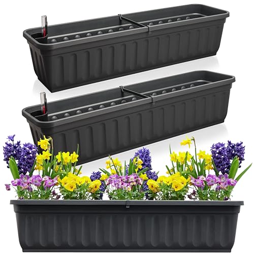 Hausfelder Blumenkasten 3er Set mit Wasserspeicher und Wasserstandsanzeige, Balkonkasten mit Bewässerung für Innen und Außen (Anthrazit-Schwarz, 80cm lang - 3er Set)