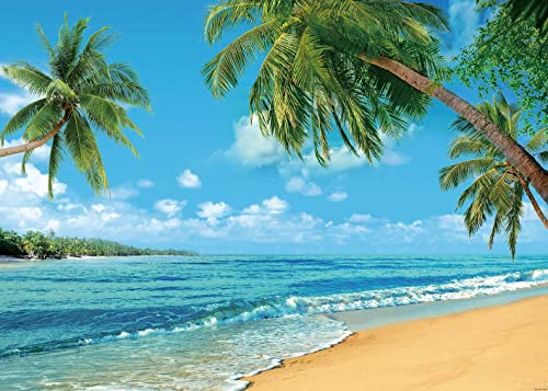 INRUI Tropical Beach Photography Background Summer Palm Trees Backdrop Blue Sea Sky Sunshine Luau Themed Party Decoration (7x5FT) - Image 4