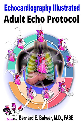 amazon echo protocol