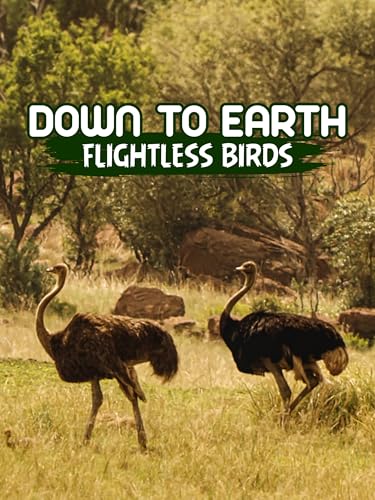 Down To Earth Flightless Birds