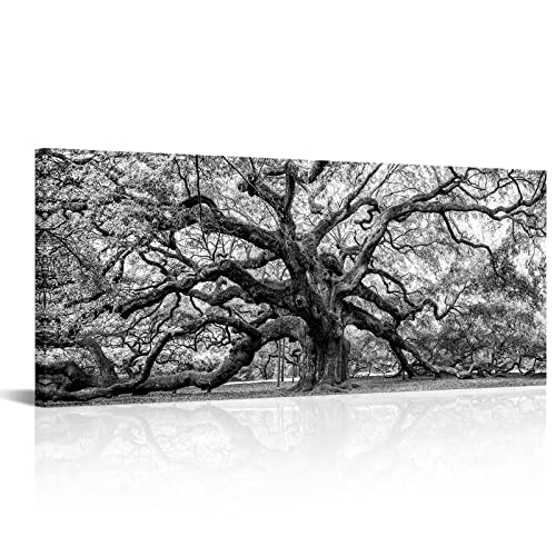 Image of OuElegent Black and White Angel Oak Tree Canvas Wall Art Charleston South Carolina Landscape Picture Artwork Framed Art For Home Living Room Bedroom Decor 20 inchx48 inch (Grey)