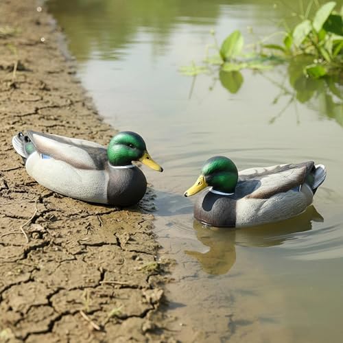 lycss Premium Duck Decoys, Realistic Plastic Hunting Set – Lifelike Waterfowl Decoys for Effective Hunting & Garden Decor, Durable & Easy to Carry - Thumbnail 5