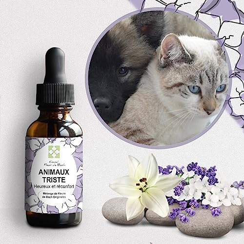 Elixir Floral Animal Triste - Para devolver la alegría de vivir a tu compañero Fl de 30 ml, paquete de 2