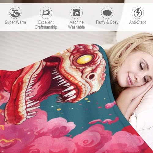 Couverture dinosaure plaid 3D idée cadeau anniversaire garçon
