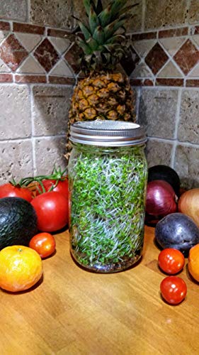 Sprouting Lids-2 Pack 316 Stainless Steel 100% Rust Free for Wide Mouth Mason Jars Lid Kit, Sprout Fresh Organic Broccoli Seeds, Mung Beans, Alfalfa Seed, Lentils, Radish and More (Seeds not included) - Thumbnail 5