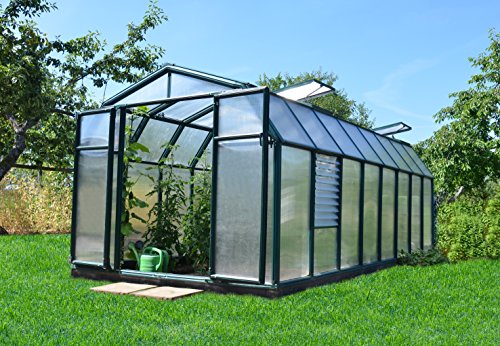 Rion Palram - Canopia Hobby Gardener 8' X 16' Greenhouse #TOP2