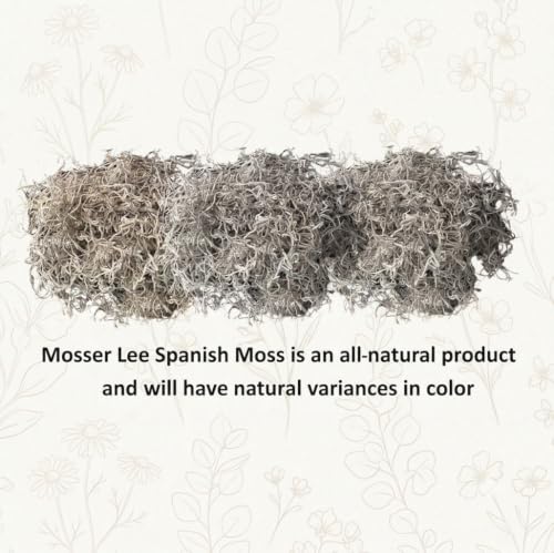 Image of Mosser Lee Spanish Moss - Natural Decorative Moss for Houseplants, Soil Cover, Crafts, Terrariums & Floral Arrangements - 400 Cubic Inches (Approx 9oz)