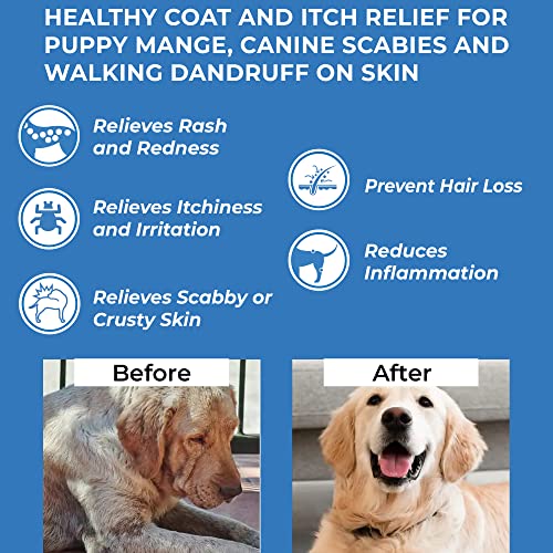 Demodectic Mange Treatment for Dogs Healthy Coat and Itch Relief for
