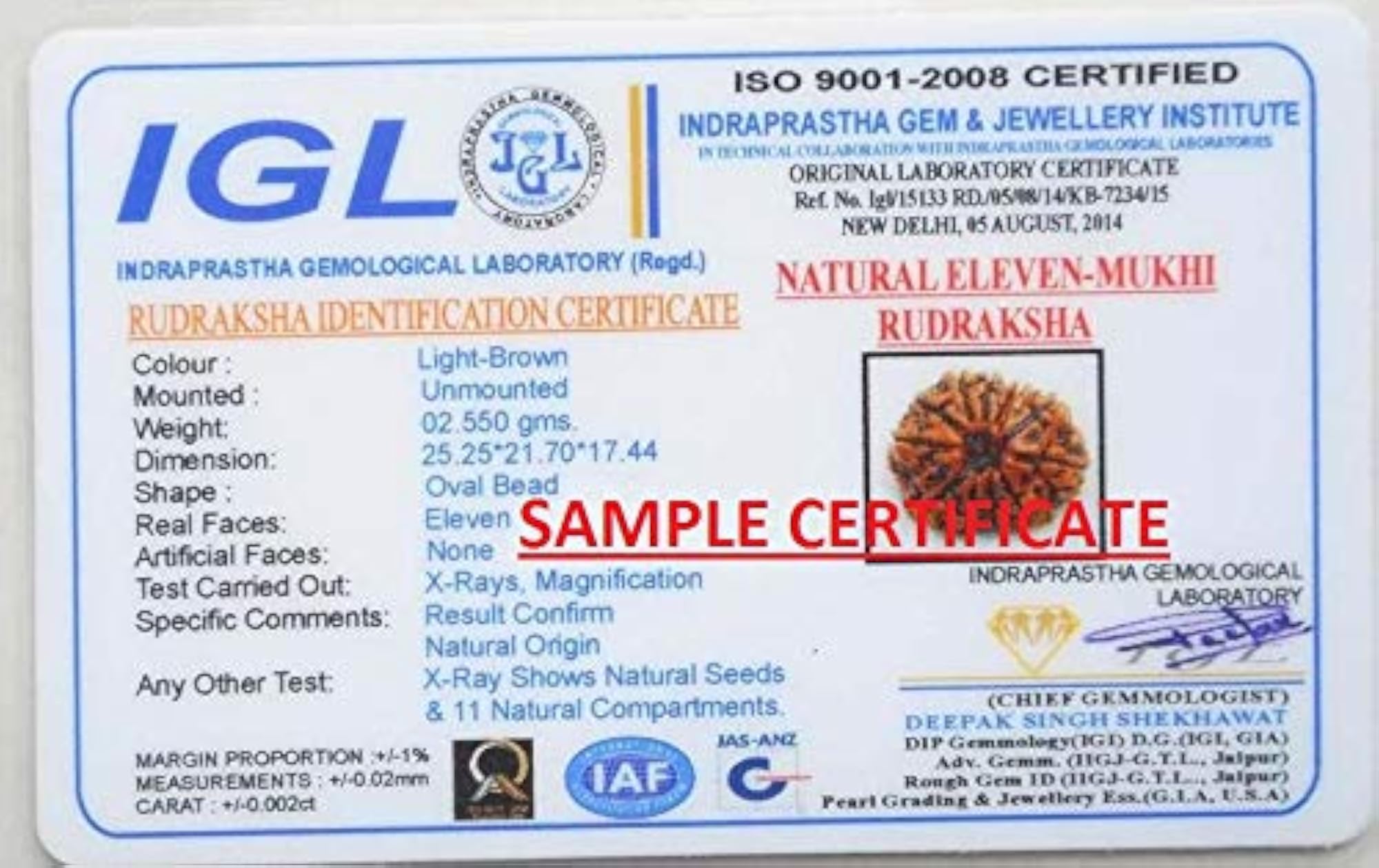 11 Mukhi Nepal Rudraksha Lab Certified Natural Bead
