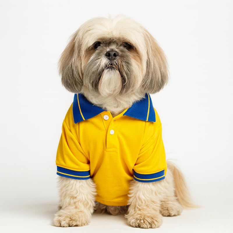 Image of Thunder Tails Premium Cotton Polo Dog T-Shirt | for Small Dogs & Puppies |Yellow-Royal| Large | for Pugs, Lhasa Apso, Poodle, Dachshund & Pomerian