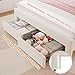 Full Upholstered LED Bed Frame with 2 Storage Drawers and Adjustable Chic Double Wavy Headboard, Velvet Princess Platform Bed with Charing Station, Solid Wood Slats Support,No Box Spring Needed,Beige