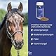 STRÖH Vitamin E + Selen + Lysin für Pferde (1kg) • Pferd Vitamin E Pellets • Mehr Leistung für Turnier-/Sportpferde • Vitaminkomplex für Pferde
